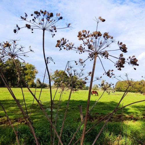 fb img 1769971919969