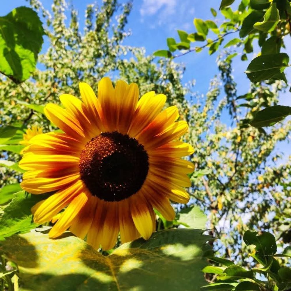 fb img 1769971953904