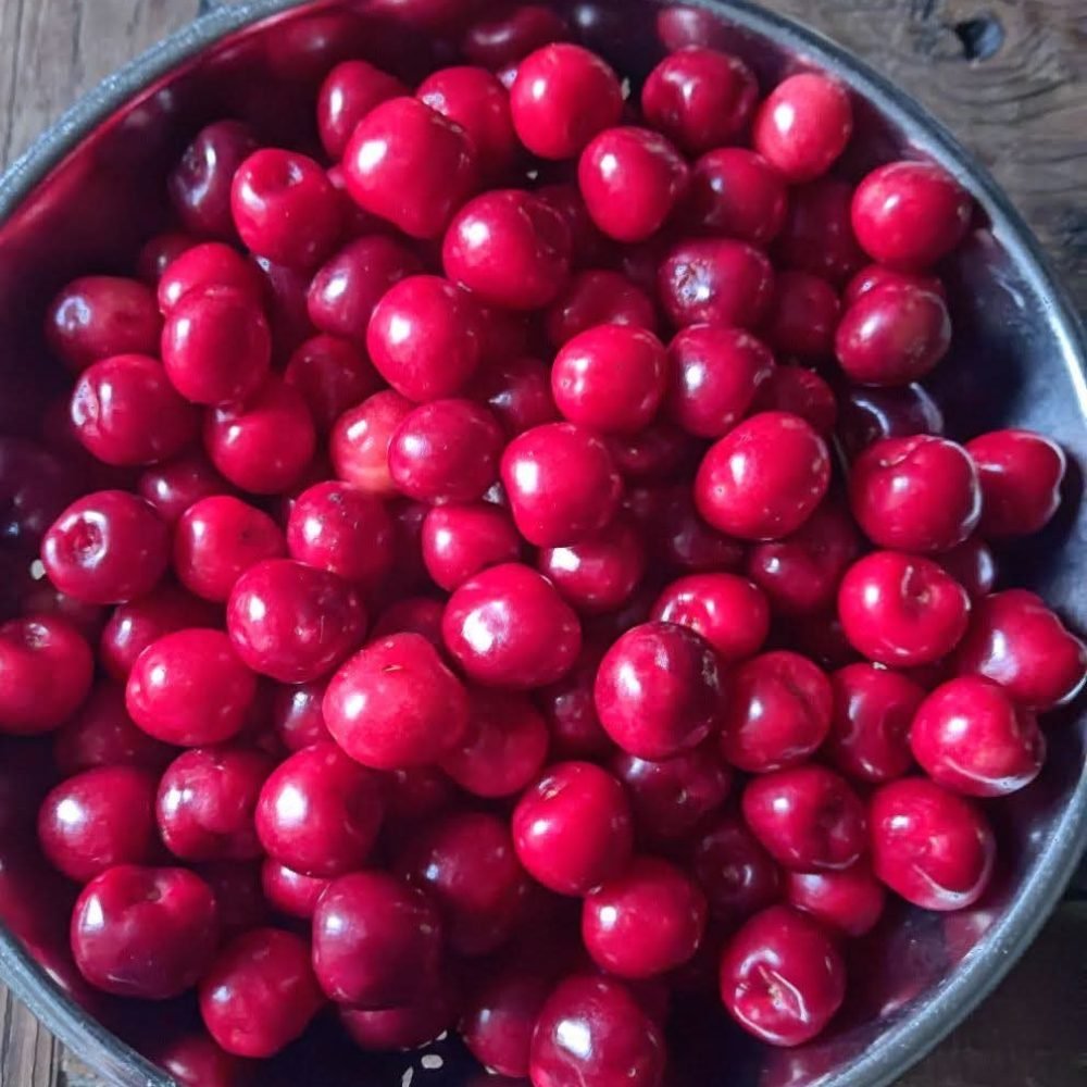 fb img 1769971973392