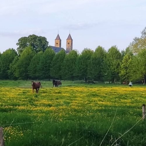 fb img 1769971996099