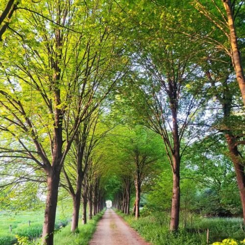 fb img 1769972008269