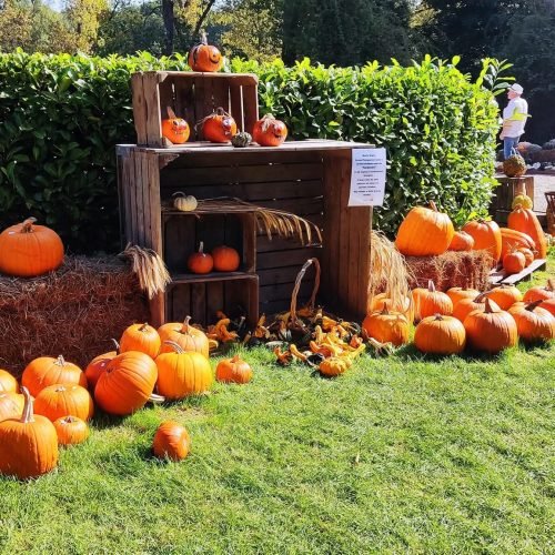 fb img 1769972123091