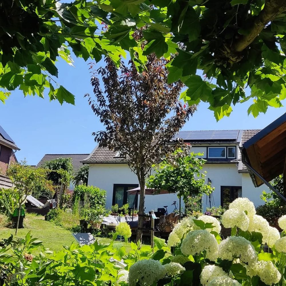 fb img 1769972144899