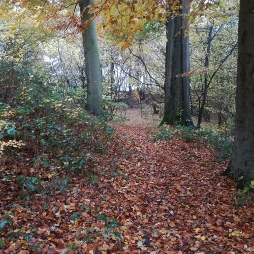 fb img 1769972329289