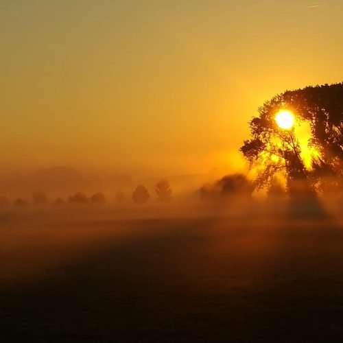 fb img 1769972353891