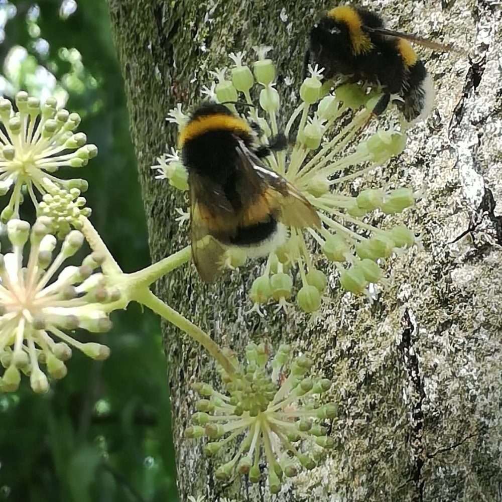 fb img 1769972374596