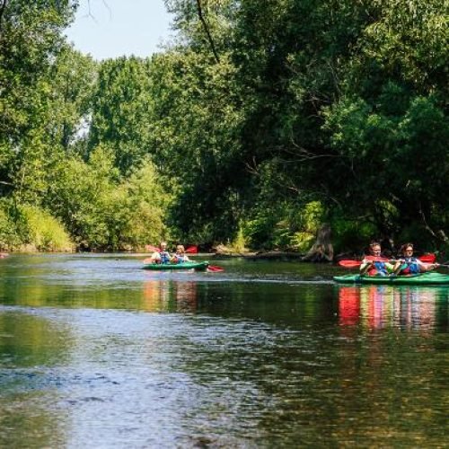 img 20260119 wa0002 (1)